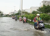 TP.HCM ra chỉ đạo chống triều cường dịp tết Canh Tý