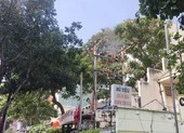 Điện lực TP.HCM nói về vụ trạm điện nổ ở quận 3