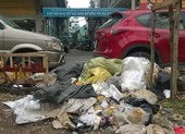 Thích… vứt rác bậy