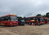 Tạm dừng vận tải hành khách tuyến cố định TP.HCM - Đắk Lắk