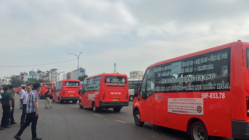 Phương Trang đã đưa 62 xe buýt mới vào phục vụ 4 tuyến buýt mới. Ảnh: ĐÀO TRANG.
