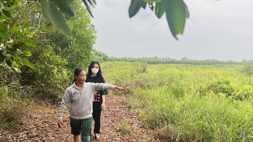 Khu vực đường vành đai 3 đi qua. Ảnh: ĐÀO TRANG Khu vực đường vành đai 3 đi qua. Ảnh: ĐÀO TRANG