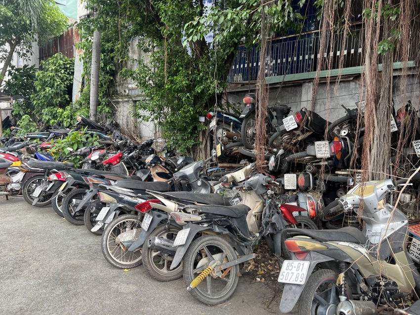 Rong, rêu, dây leo bám đầy vào xe.