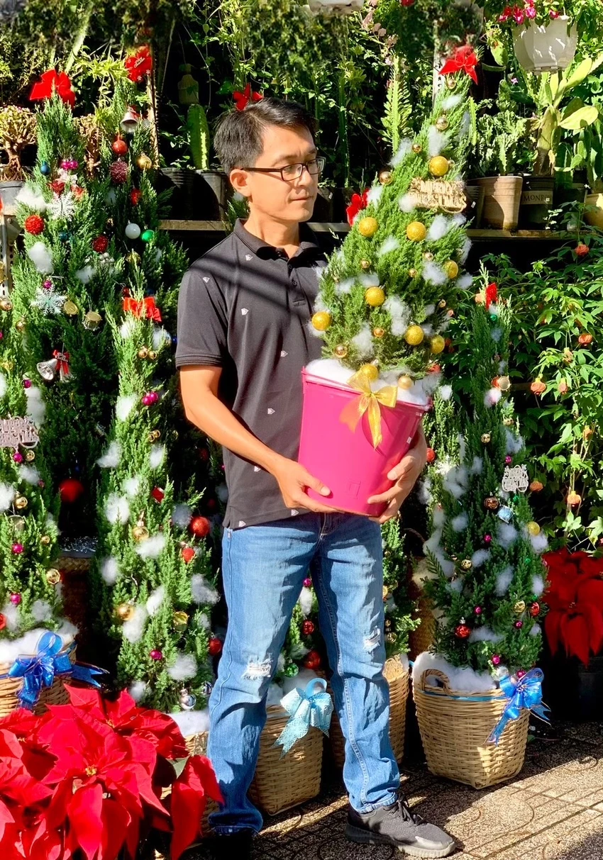 Thông tươi tiền triệu, bán vài nghìn cây mỗi mùa Noel