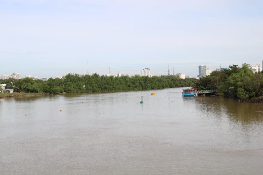 cau-phuoc-long-4596-1130.jpg