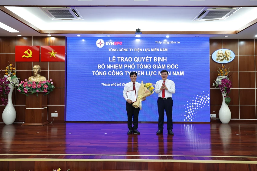 điện lực miền nam