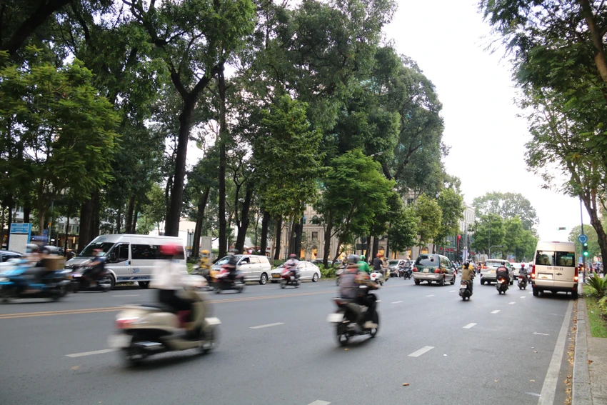 đỗ xe không đúng quy định