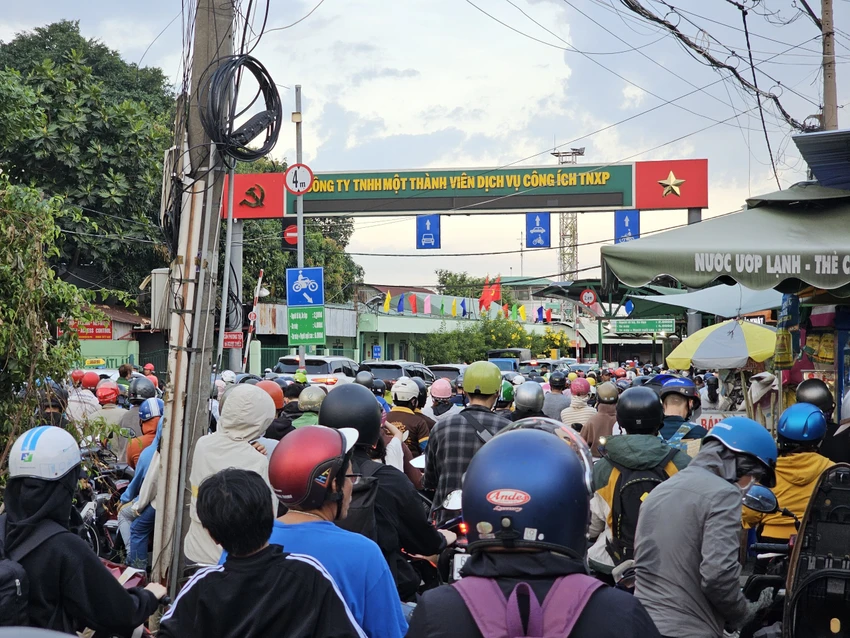 cầu Cát Lái