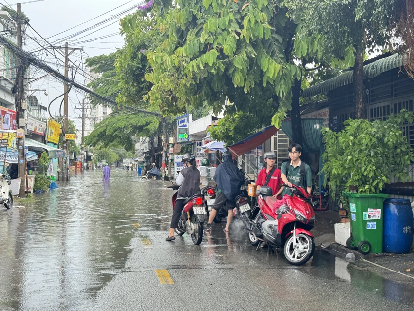 duong-lo-lu24.JPG