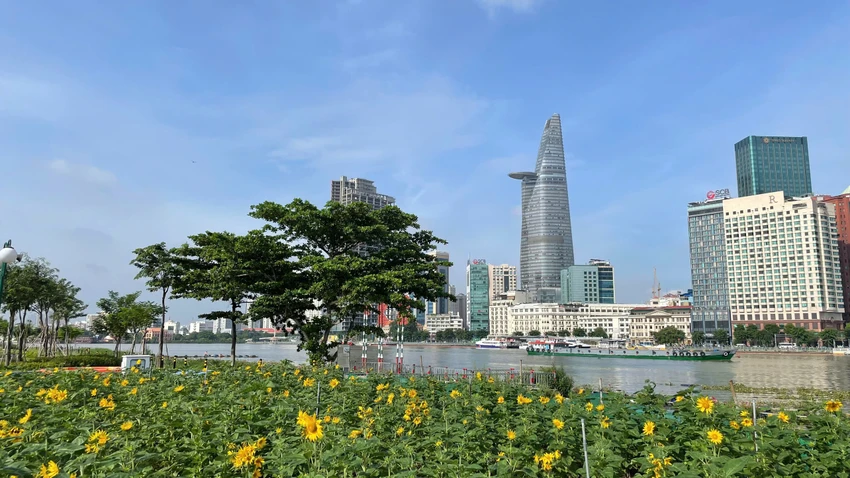 vuon-hoa-huong-duong3.jpg