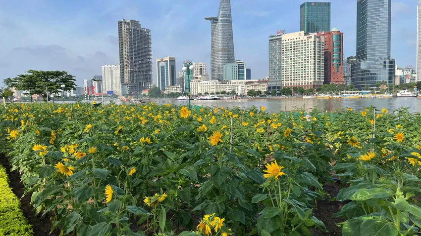 oa này để tô điểm cho vẻ đẹp dọc Công viên bờ sông Sài Gòn, TP Thủ Đức.