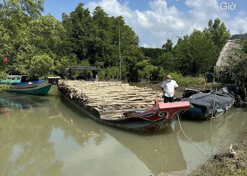 hoa-luoi-dien-1.jpg
