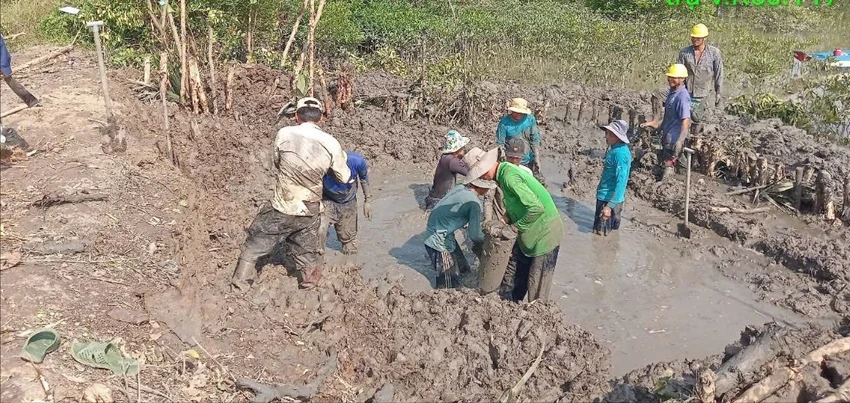 25 hộ dân tại Kênh 50, ấp Thiềng Liềng, xã đảo Thạnh An, huyện Cần Giờ đã chính thức được hòa lưới điện quốc gia.