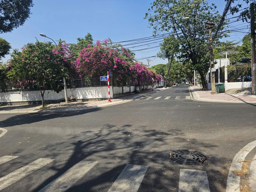 phuong-thu-duc-3.jpg