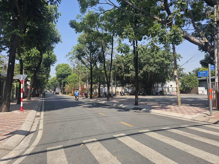 phuong-thu-duc-6.jpg