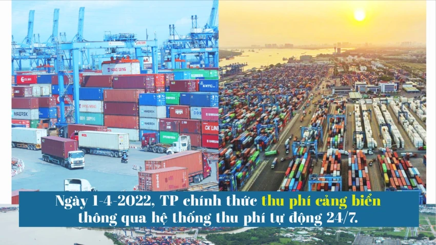 phi-ha-tang-1.jpeg