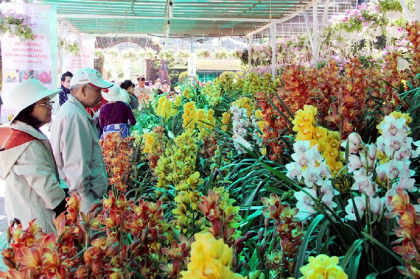 Hàng chục ngàn người đổ về Đà Lạt thưởng thức 'tiệc hoa' ảnh 6 Hàng chục ngàn người đổ về Đà Lạt thưởng thức 'tiệc hoa' ảnh 6