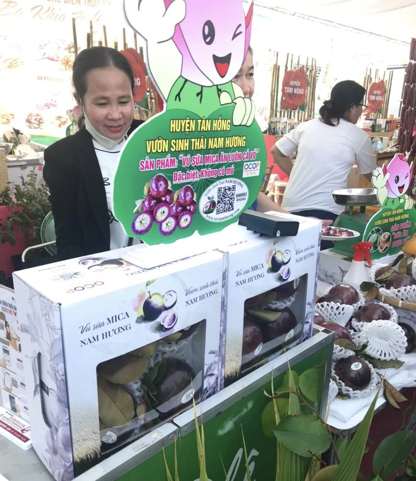 vu-sua-an-luon-vo-dong-thap-2410.jpg