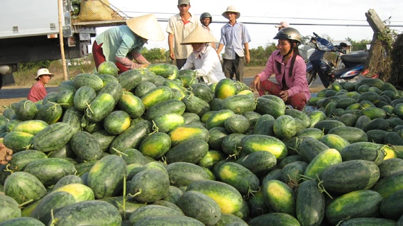 Đại sứ Mỹ: TPP mở ra thị trường lớn cho nông dân Việt Nam ảnh 2 Đại sứ Mỹ: TPP mở ra thị trường lớn cho nông dân Việt Nam ảnh 2