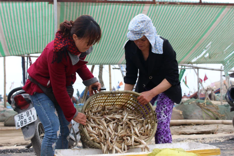 Sầm Sơn: Nụ cười trở lại sau những ngày 'bão giông' ảnh 1