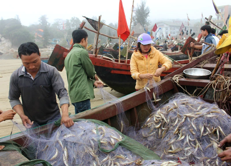 Sầm Sơn: Nụ cười trở lại sau những ngày 'bão giông' ảnh 6
