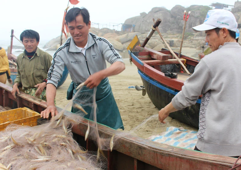 Sầm Sơn: Nụ cười trở lại sau những ngày 'bão giông' ảnh 5