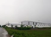 Bắt 2 cựu chủ tịch xã vì liên quan đến sai phạm đất đai