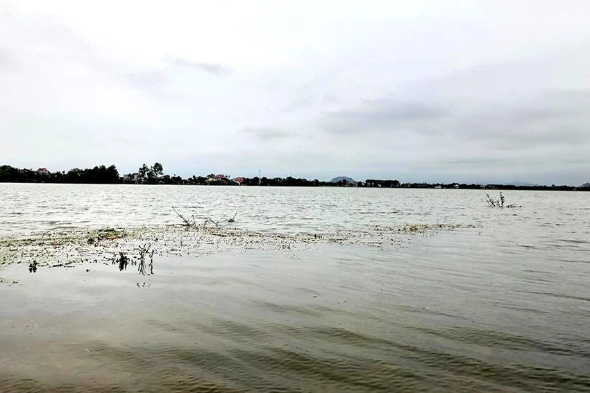 Mưa lũ kéo dài nhiều ngày khiến diện tích lúa của nhiều xã của huyện Thiệu Hóa ngập sâu trong nước. Ảnh: ĐẶNG TRUNG Mưa lũ kéo dài nhiều ngày khiến diện tích lúa của nhiều xã của huyện Thiệu Hóa ngập sâu trong nước. Ảnh: ĐẶNG TRUNG