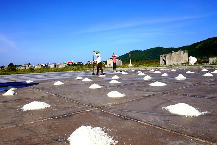 Cánh đồng muối Tam Hòa (Hòa Lộc, Thanh Hóa) từng biết đến là vựa muối lớn nhất của xứ Thanh, tuy nhiên đến ngày nay diện tích đã thu hẹp lại chỉ còn khoảng 50 ha. Ảnh: ĐẶNG TRUNG Cánh đồng muối Tam Hòa (Hòa Lộc, Thanh Hóa) từng biết đến là vựa muối lớn nhất của xứ Thanh, tuy nhiên đến ngày nay diện tích đã thu hẹp lại chỉ còn khoảng 50 ha. Ảnh: ĐẶNG TRUNG