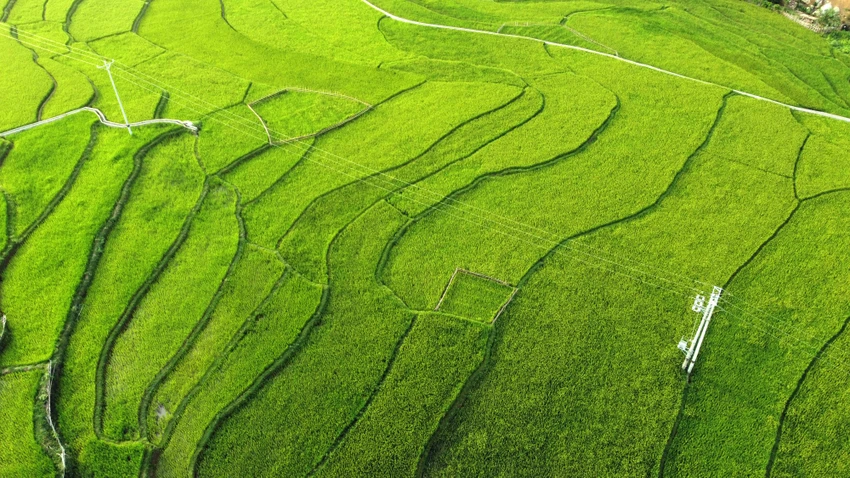 Chiêm ngưỡng vẻ đẹp những thửa ruộng bậc thang ở huyện biên giới Mường Lát -3.JPG