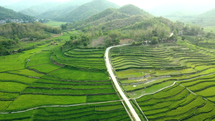Chiêm ngưỡng vẻ đẹp những thửa ruộng bậc thang ở huyện biên giới Mường Lát -7.JPG