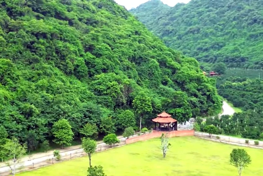 Hình ảnh trang trại “ngựa phi mỏi ngối” của ông trùm giang hồ xứ Thanh Vi ngộ -2.jpg