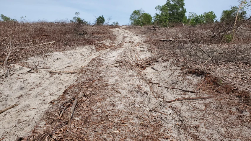 Những vệt bánh xe tải lớn trong khu vực rừng bị khai thác, chặt phá. Ảnh: BẢO THIÊN Những vệt bánh xe tải lớn trong khu vực rừng bị khai thác, chặt phá. Ảnh: BẢO THIÊN