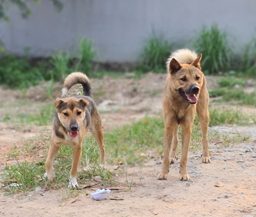 Ảnh minh họa. Ảnh: BẢO THIÊN Ảnh minh họa. Ảnh: BẢO THIÊN
