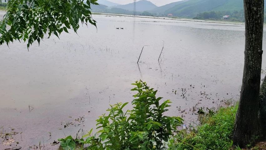 chau-be-mot-tuoi-roi-xuong-muong-nuoc-tu-vong-thuong-tam.jpg