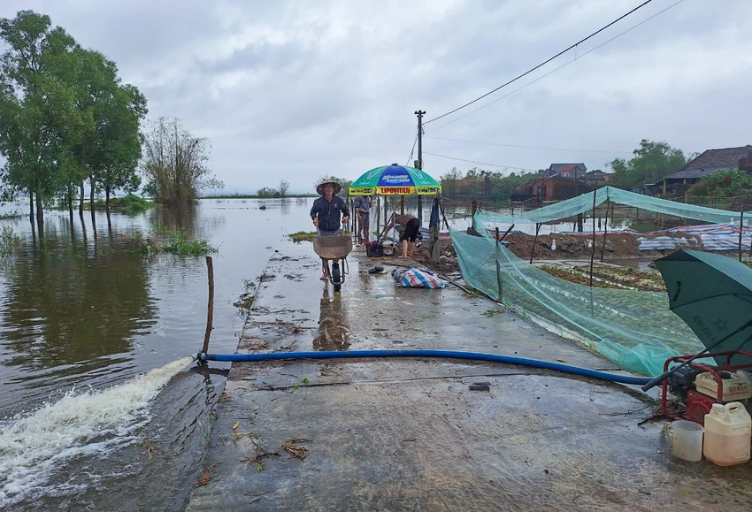 Nong-dan-Quang-Binh-ra-suc-cuu-hoa-mau-bi-ngap-ung-do-mua-lon.jpg