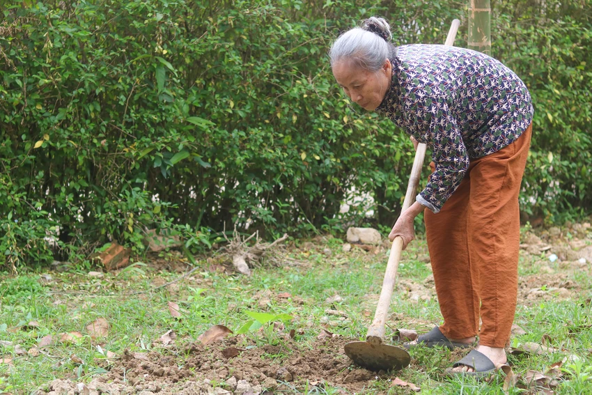 Nguoi-50-nam-giu-lua-nha-luu-niem-dai-tuong-vo-nguyen-giap (2).JPG