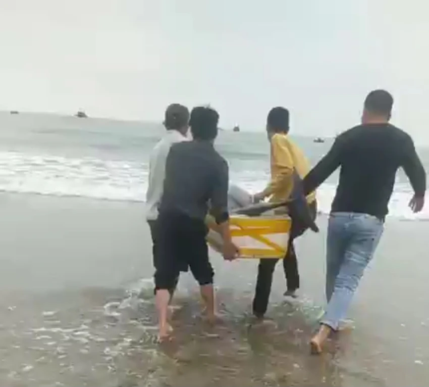 Người dân làng biển rủ nhau góp tiền mua cá heo sắp bị xẻ thịt để thả về tự nhiên
