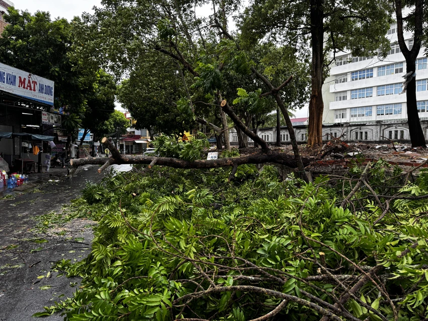 Quảng Bình: Cây xanh bật gốc, nhiều khu vực biên giới bị chia cắt