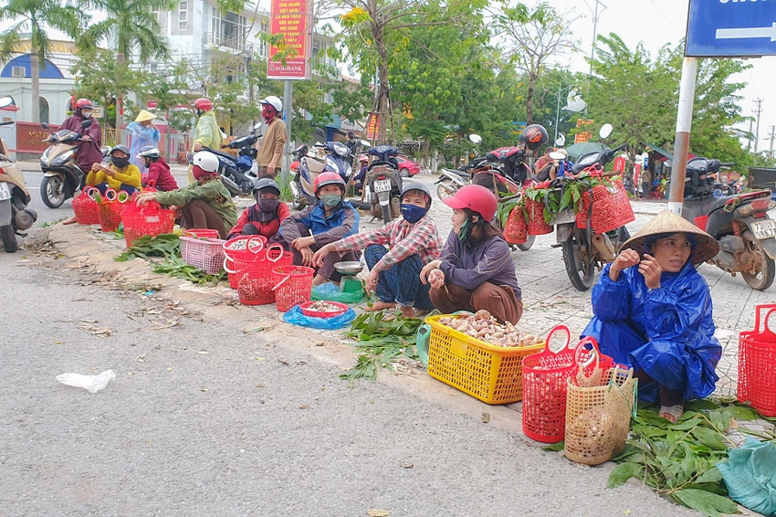Quảng Bình: Người dân phấn khởi kiếm thêm thu nhập nhờ loại nấm ‘trời ban’