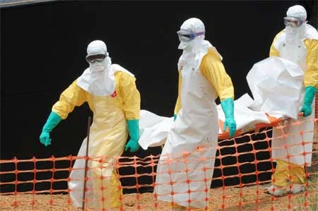 Ebola, virus nguy hiểm, dịch bùng phát, Tây Phi, chuyên gia ngoại, y, bác sĩ, tiết lộ động trời Ebola, virus nguy hiểm, dịch bùng phát, Tây Phi, chuyên gia ngoại, y, bác sĩ, tiết lộ động trời