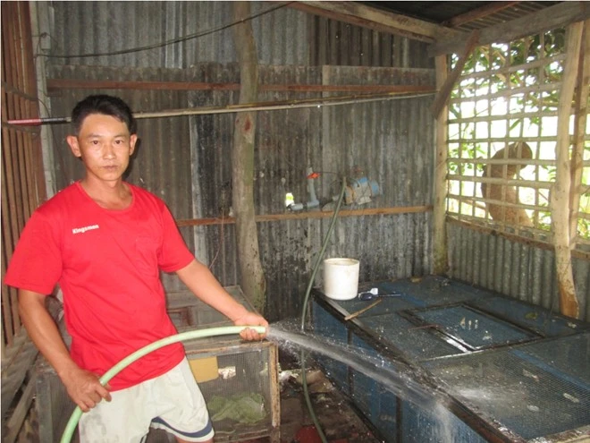 Trung Quốc ngưng mua, nông dân miền Tây lao đao vì rắn ảnh 3 Trung Quốc ngưng mua, nông dân miền Tây lao đao vì rắn ảnh 3