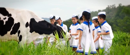 Đón xem “Giấc Mơ Sữa Việt” trên VTV1 ảnh 2 Đón xem “Giấc Mơ Sữa Việt” trên VTV1 ảnh 2