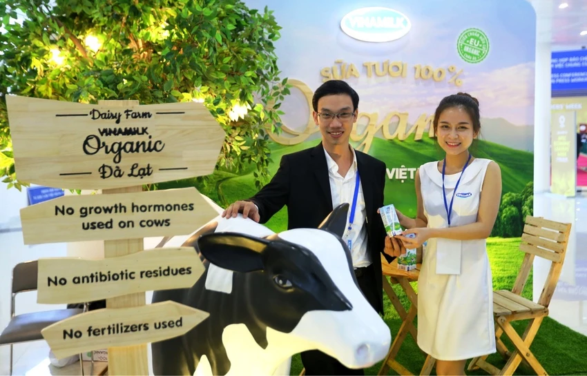 Sản xuất sữa tươi theo tiêu chuẩn “ba không” ảnh 1