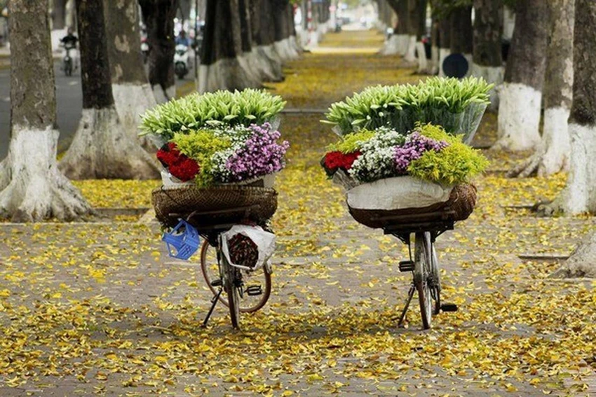 Những sắc màu lãng mạn này chẳng ai có thể quên mùa thu Hà Nội Những sắc màu lãng mạn này chẳng ai có thể quên mùa thu Hà Nội