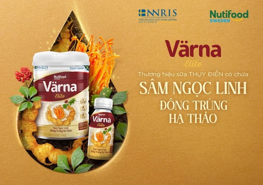 Sữa Värna Elite sở hữu thành phần chắt lọc tinh hoa từ quốc bảo Việt Nam Sâm Ngọc Linh kết hợp cùng Đông Trùng Hạ Thảo quý hiếm. Sữa Värna Elite sở hữu thành phần chắt lọc tinh hoa từ quốc bảo Việt Nam Sâm Ngọc Linh kết hợp cùng Đông Trùng Hạ Thảo quý hiếm.