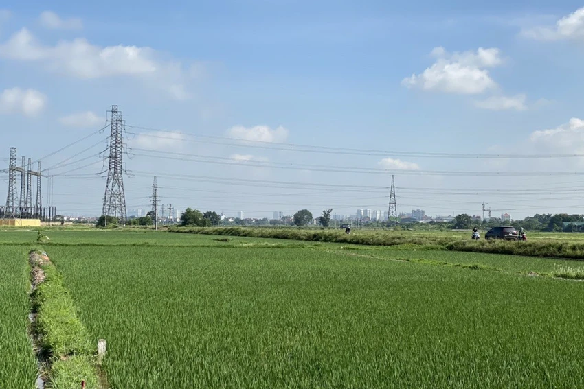 Thi công dự án đường dây 500kV/220kV Nho Quan – Phủ Lý – Thường Tín gặp nhiều vướng mắc mặt bằng Thi công dự án đường dây 500kV/220kV Nho Quan – Phủ Lý – Thường Tín gặp nhiều vướng mắc mặt bằng