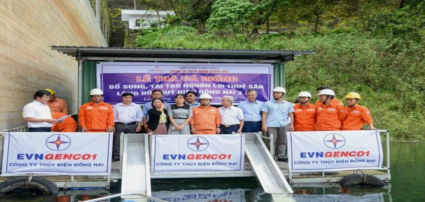 Quang cảnh buổi lễ thả cá giống
