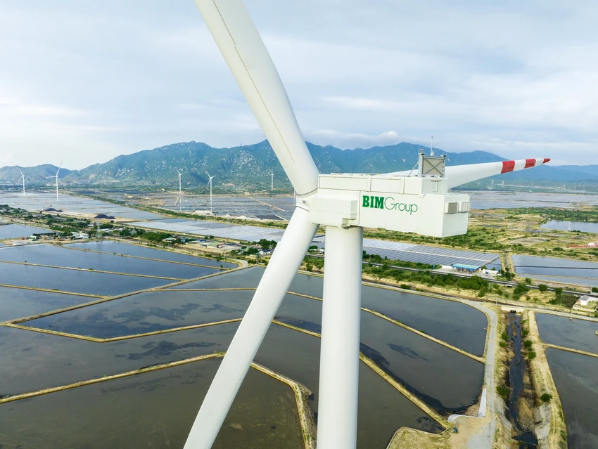 muoi-ninh-thuan-2.jpg