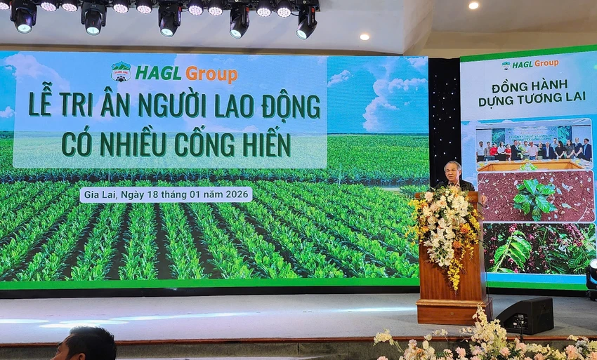 bau duc 3.jpg